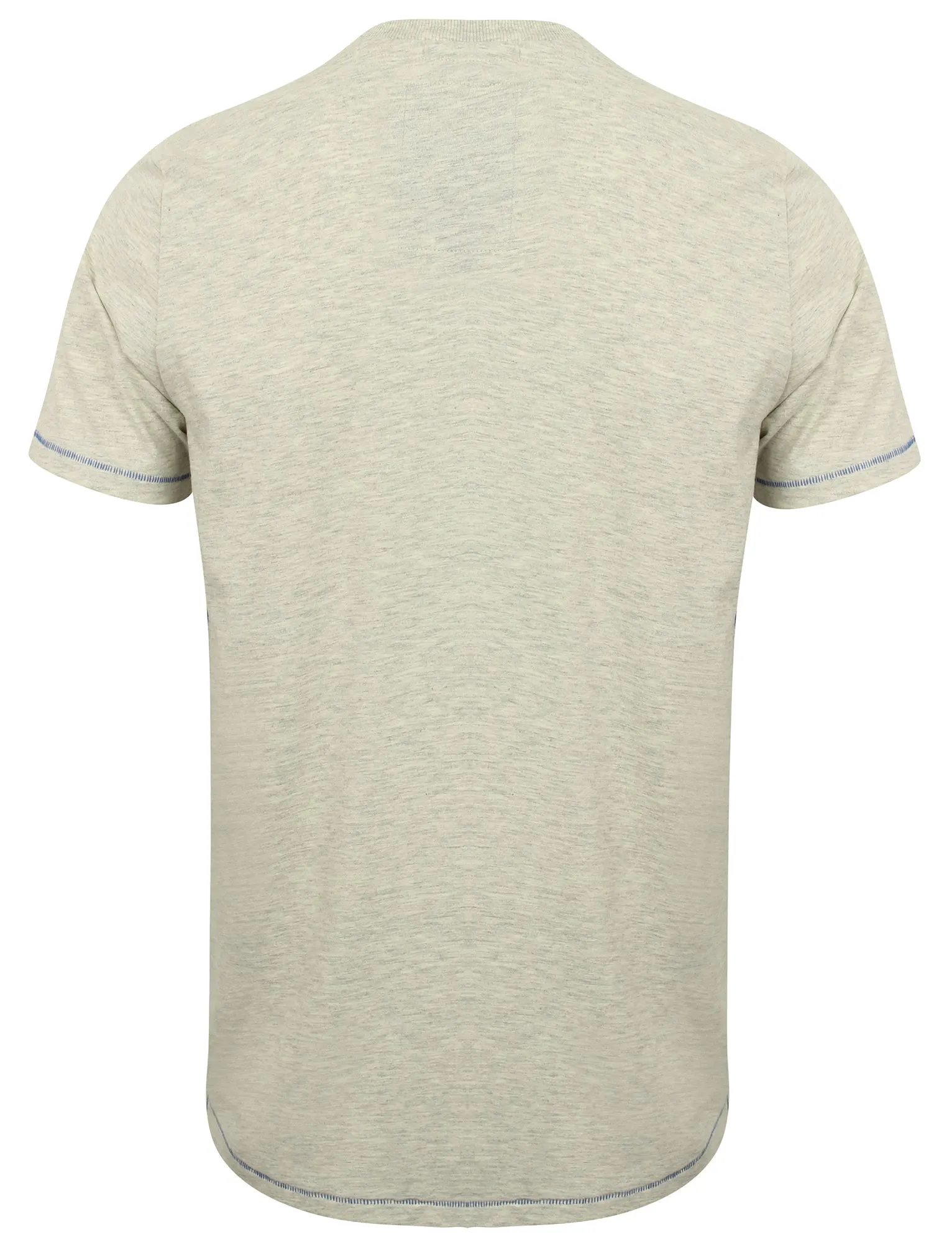 Bailey Springs Motif Cotton T-Shirt in Oatgrey Marl - Tokyo Laundry