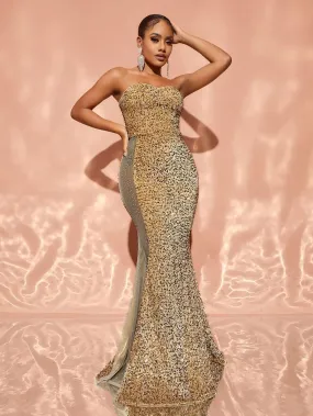 Chic Rhinestone Detail Mermaid Hem Sequin Tube Dress